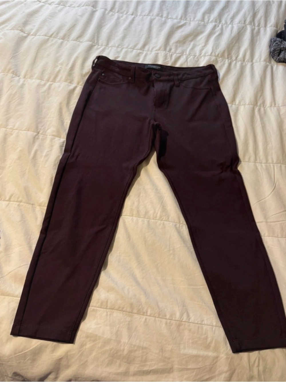 Dark Plum Slim Pants by Liverpool